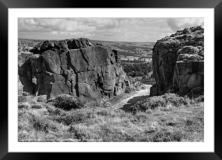 Ilkley Moor Yorkshire Framed Mounted Print by Diana Mower