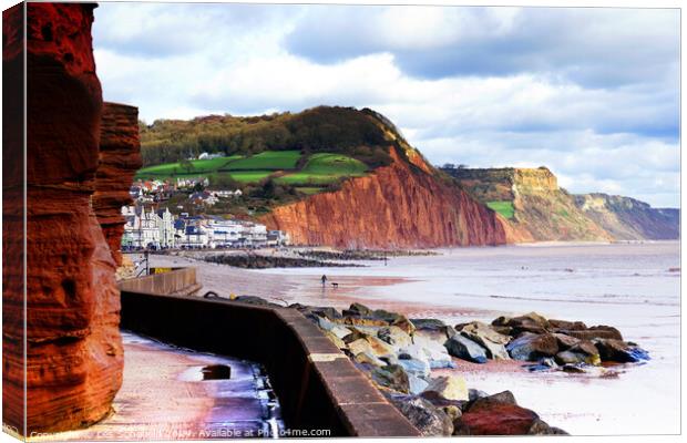 Sidmouth Cliff Walk Canvas Print by Les Schofield