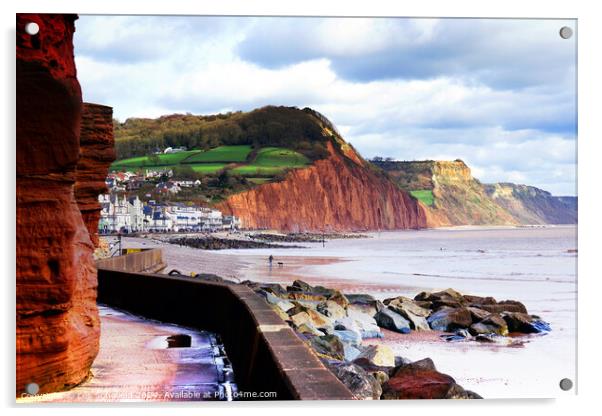 Sidmouth Cliff Walk Acrylic by Les Schofield