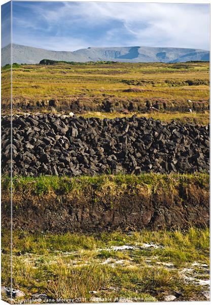 Peat Bog, Achill, Mayo, Ireland Canvas Print by Jane McIlroy
