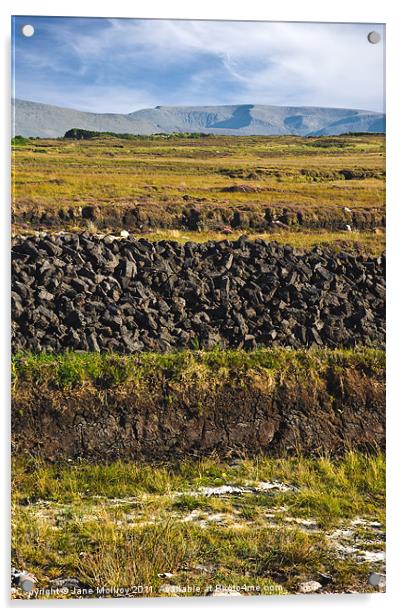 Peat Bog, Achill, Mayo, Ireland Acrylic by Jane McIlroy