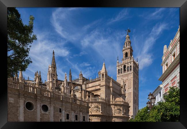 Seville Cathedral And Giralda Bell Tower Framed Print by Artur Bogacki