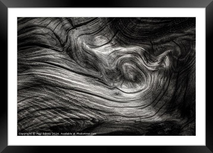 Monochrome curves in driftwood on Ynyslas Beach, W Framed Mounted Print by Paul Edney