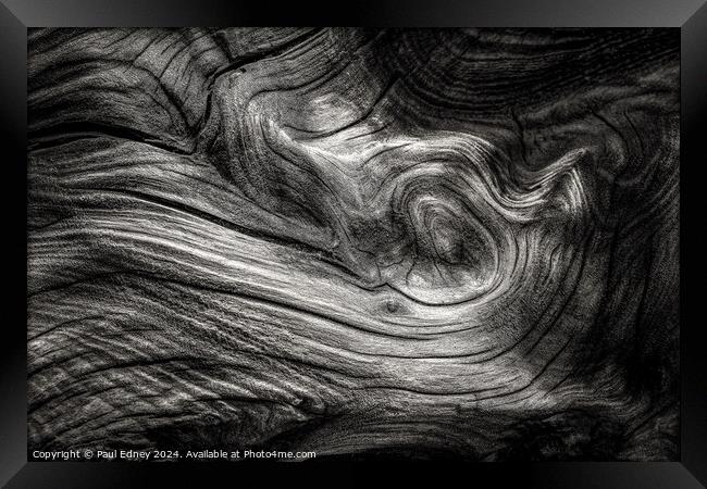Monochrome curves in driftwood on Ynyslas Beach, W Framed Print by Paul Edney