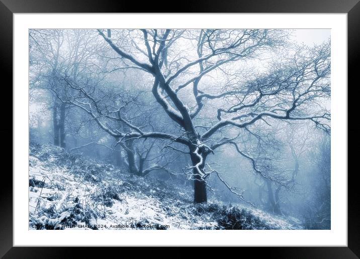 Frozen forest 1062 Framed Mounted Print by PHILIP CHALK