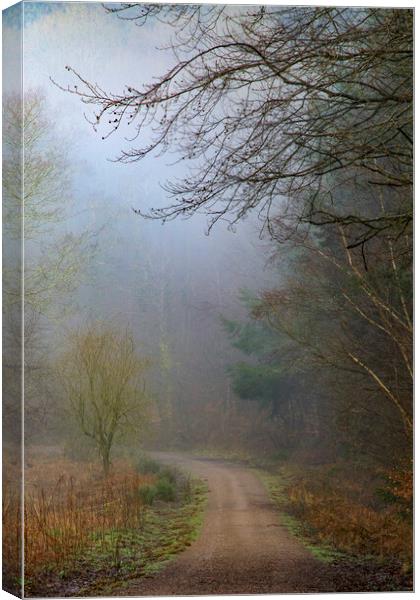 Ten Acre Woods No 5 Canvas Print by David Tinsley