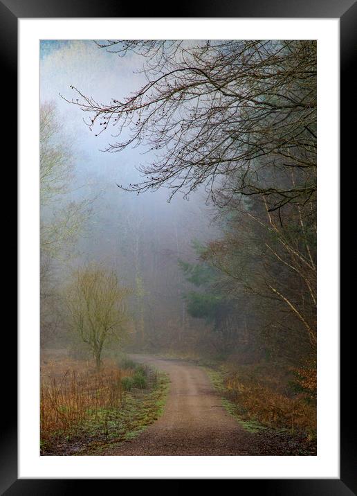 Ten Acre Woods No 5 Framed Mounted Print by David Tinsley