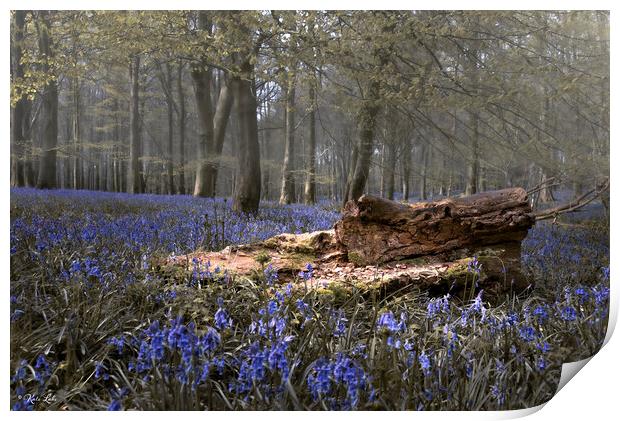 Bluebells and Fallen Tree Trunk Print by Kate Lake