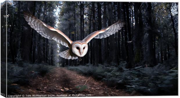 Barn Owl in Flight Canvas Print by Tom McPherson