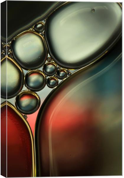 Oil & Water Metalics Collection IV Canvas Print by Sharon Johnstone