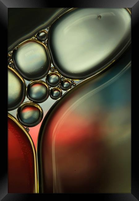 Oil & Water Metalics Collection IV Framed Print by Sharon Johnstone
