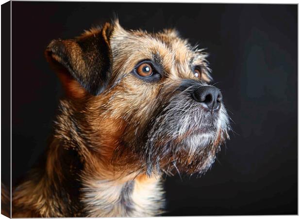 Border Terrier Portrait Canvas Print by K9 Art
