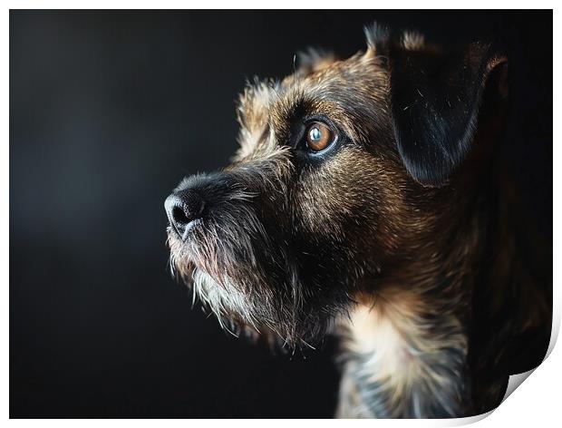 Border Terrier Portrait Print by K9 Art
