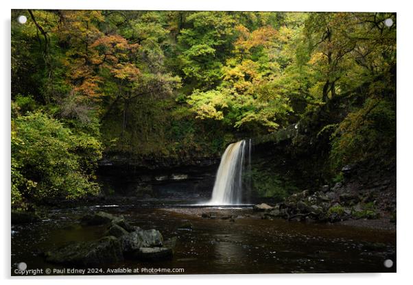 Sgwd Gwladus waterfall, Vale of Neath, Wales Acrylic by Paul Edney