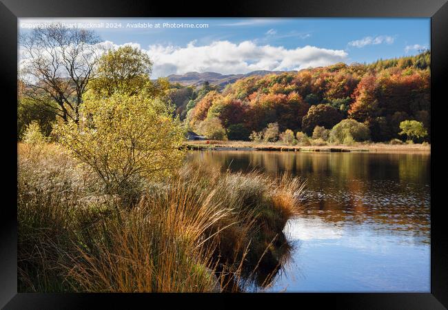 Llyn Geirionydd lake Snowdonia Wales Framed Print by Pearl Bucknall