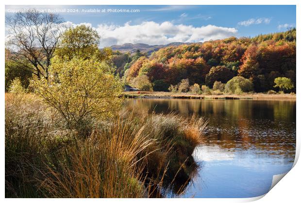 Llyn Geirionydd lake Snowdonia Wales Print by Pearl Bucknall
