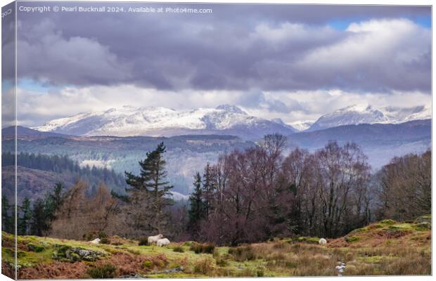 View to Snowdonia Mountains in Winter Wales Canvas Print by Pearl Bucknall
