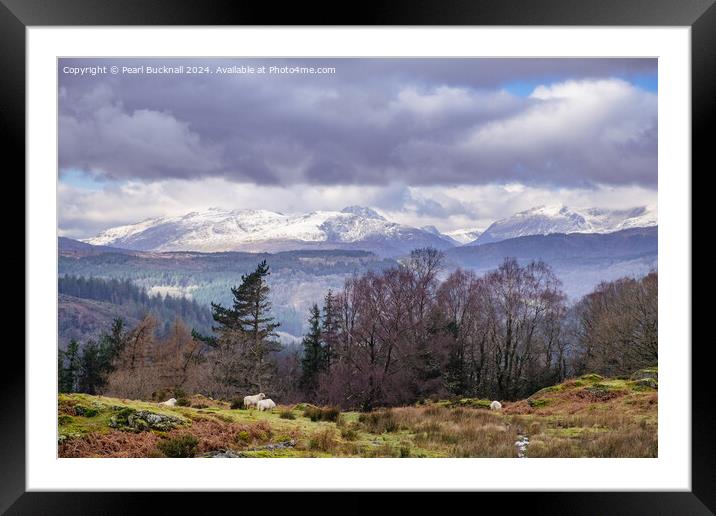 View to Snowdonia Mountains in Winter Wales Framed Mounted Print by Pearl Bucknall