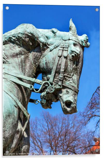 Rienzi General Phil Sheridan Horse Statue Sheridan Circle Embass Acrylic by William Perry