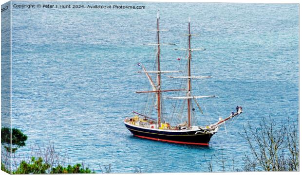 Tall Ship Morgenster Off Brixham Canvas Print by Peter F Hunt