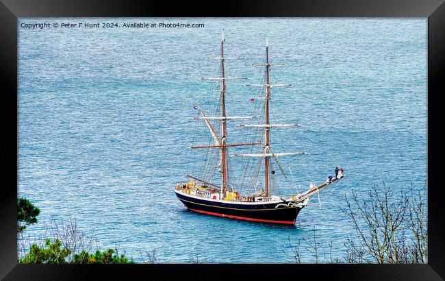 Tall Ship Morgenster Off Brixham Framed Print by Peter F Hunt