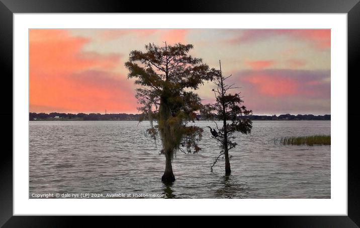 FLORIDA SUNSET  Framed Mounted Print by dale rys (LP)