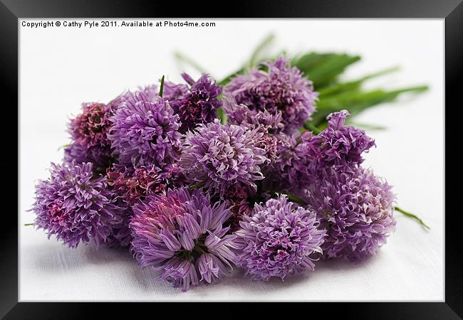 Chive flowers Framed Print by Cathy Pyle
