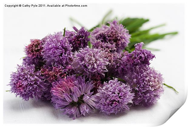 Chive flowers Print by Cathy Pyle