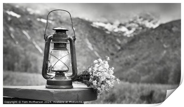 Lantern with Flowers Print by Tom McPherson