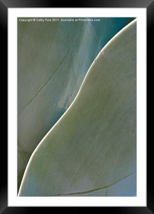 Cactus leaves Framed Mounted Print by Cathy Pyle