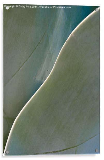 Cactus leaves Acrylic by Cathy Pyle