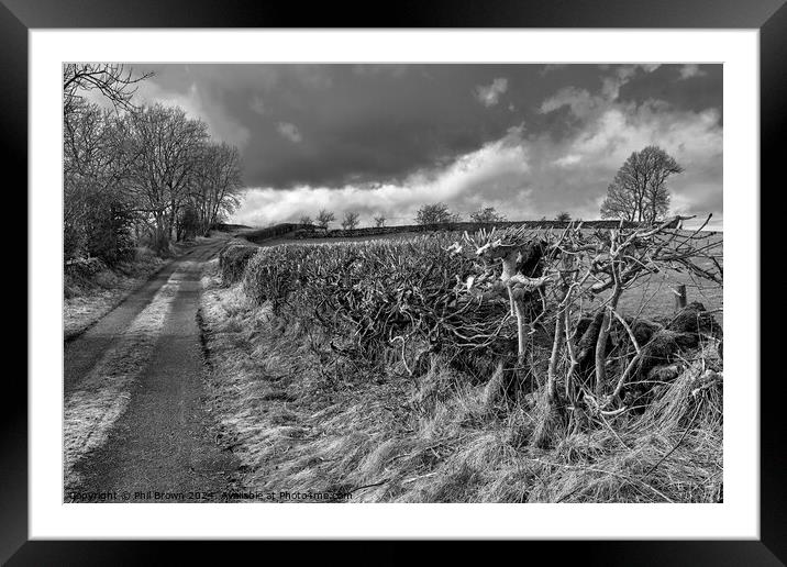 Trimmed field hedge in monochrome Framed Mounted Print by Phil Brown