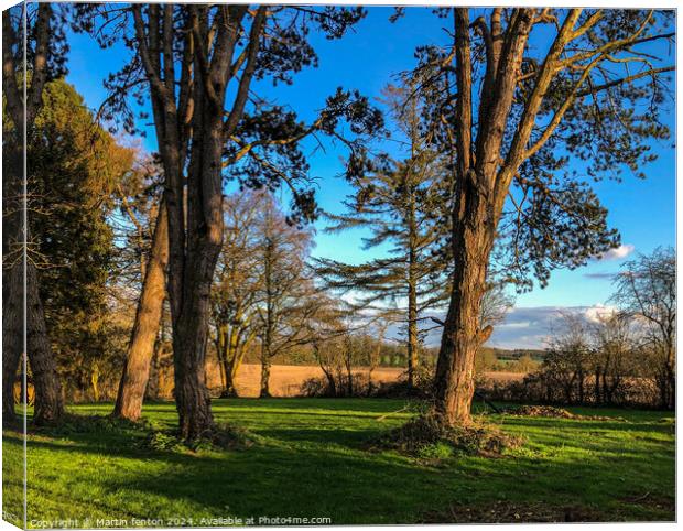 Cotswolds trees and fields Canvas Print by Martin fenton
