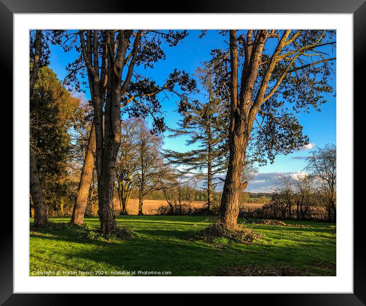 Cotswolds trees and fields Framed Mounted Print by Martin fenton