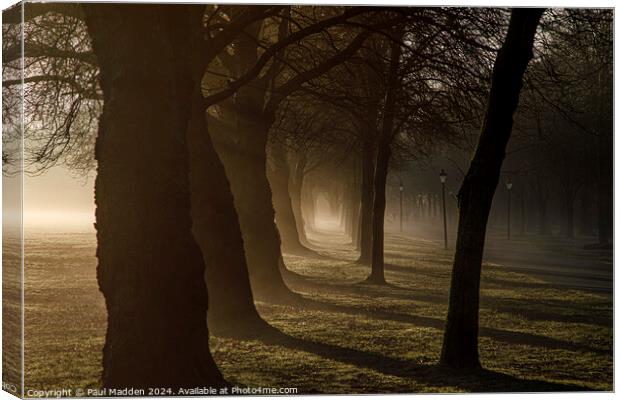 Early morning in Sefton Park Canvas Print by Paul Madden