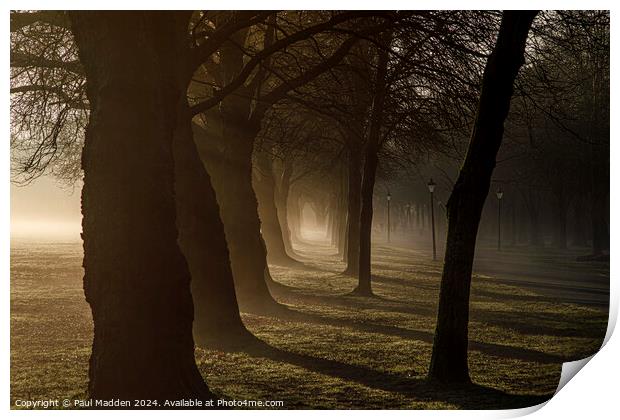 Early morning in Sefton Park Print by Paul Madden