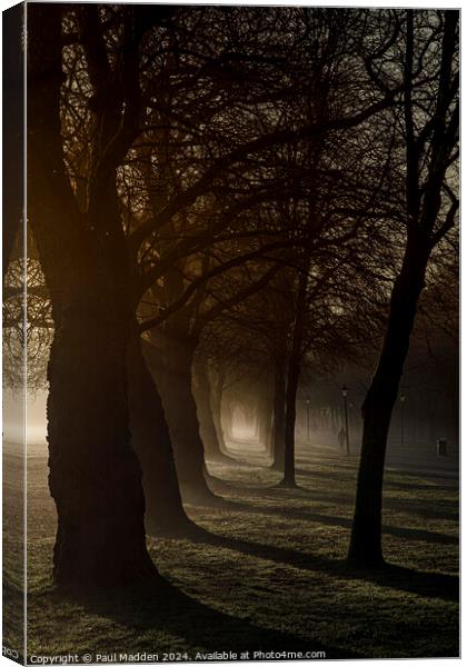 Sefton Park in the morning Canvas Print by Paul Madden