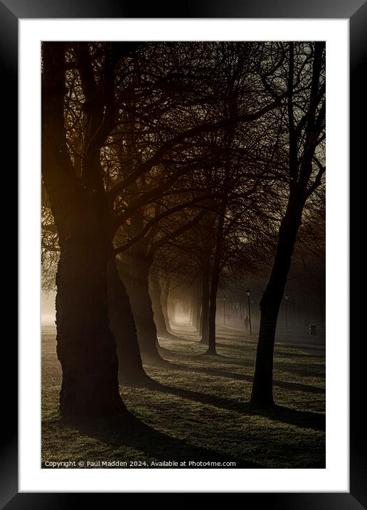 Sefton Park in the morning Framed Mounted Print by Paul Madden