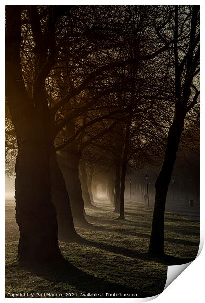 Sefton Park in the morning Print by Paul Madden