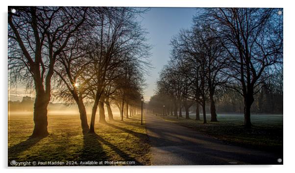 Sefton Park Sunrise Acrylic by Paul Madden