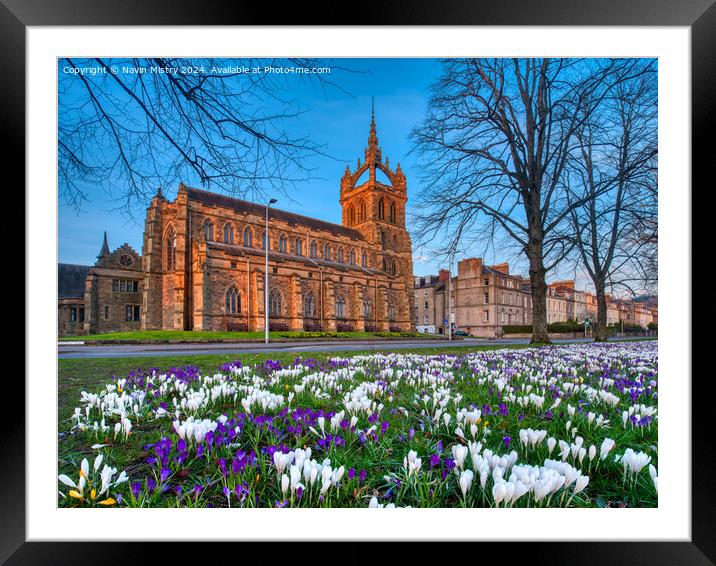 Spring Flower Display South Inch Perth Framed Mounted Print by Navin Mistry