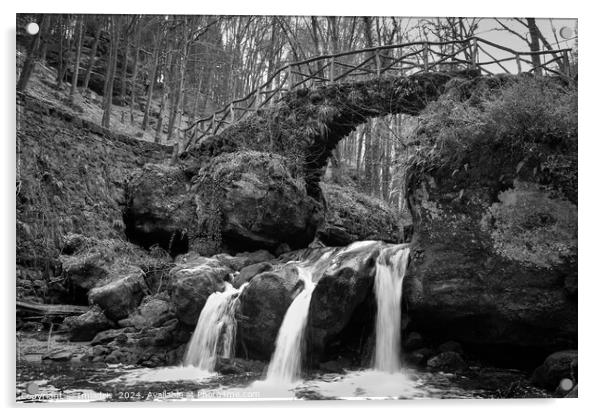 Schiessentumpel Waterfall Luxembourg Monochrome Acrylic by Imladris 