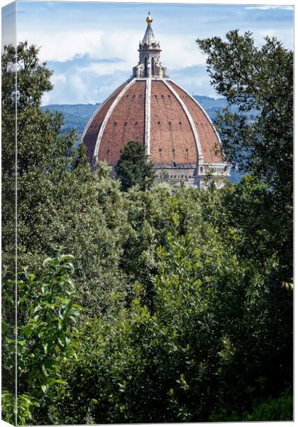 A peek through the trees at the Duomo in Florence Italy Canvas Print by John Gilham