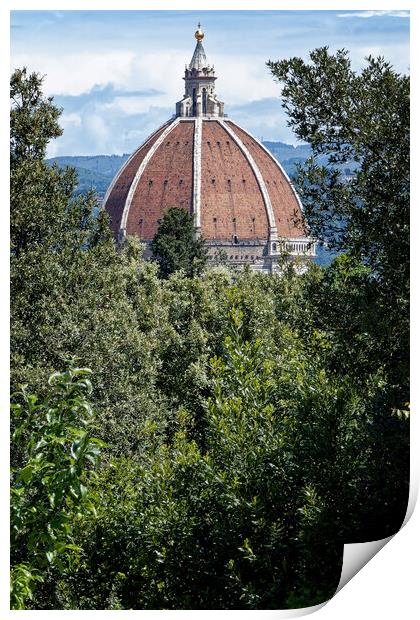 A peek through the trees at the Duomo in Florence Italy Print by John Gilham