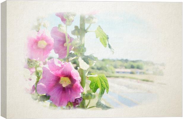 hollyhock with saltminning in watercolor Canvas Print by youri Mahieu
