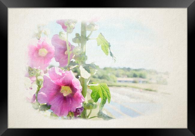 hollyhock with saltminning in watercolor Framed Print by youri Mahieu