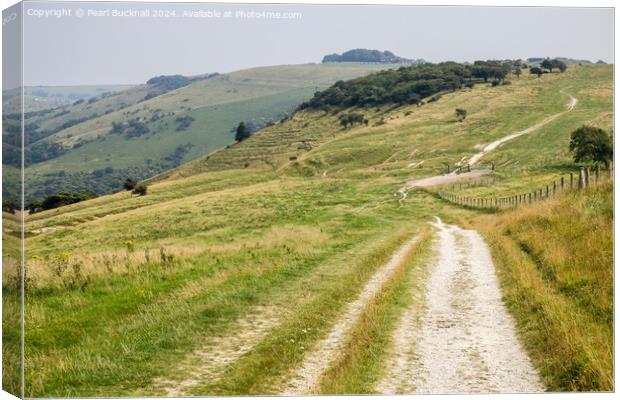South Downs Way to Devils Dyke West Sussex Canvas Print by Pearl Bucknall