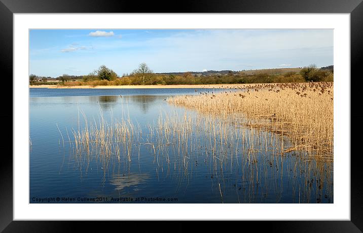 REEDS Framed Mounted Print by Helen Cullens