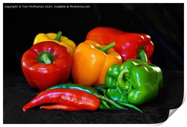 Study of Peppers Print by Tom McPherson