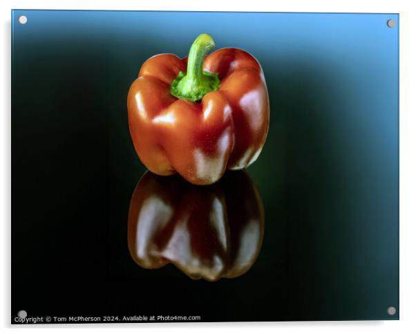 The Red Pepper Acrylic by Tom McPherson